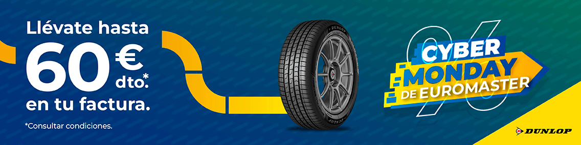 oferta neumáticos dunlop