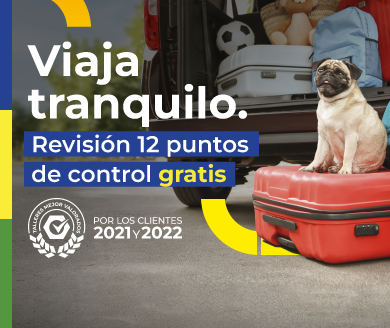 Revisión Gratis