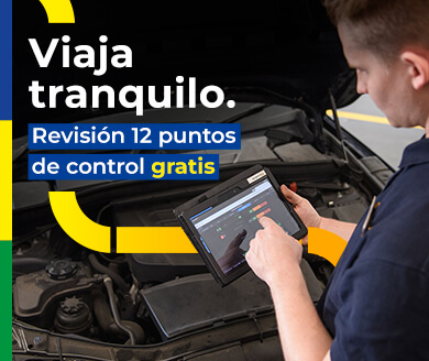 Revisión gratis 12 puntos