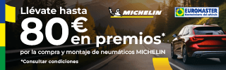 MICHELIN ENERO 4X19
